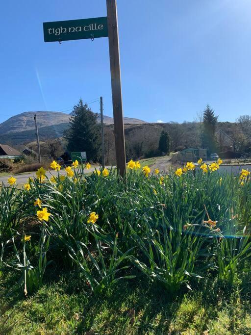 Tigh Na Cille Studio, Taynuilt Kültér fotó